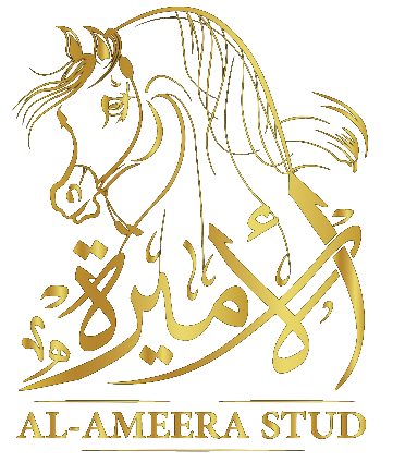 Al Ameera Stud
